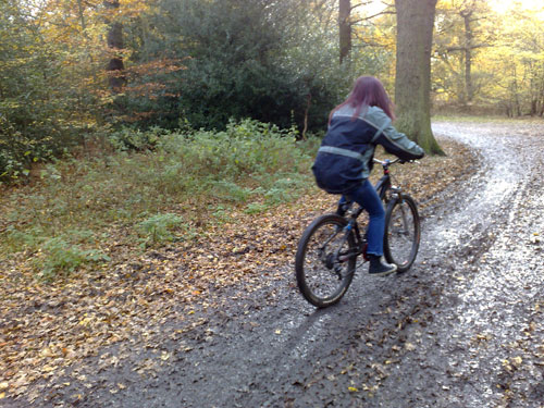 Epping forest