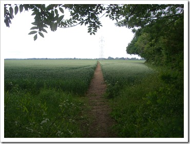 greensands way 029