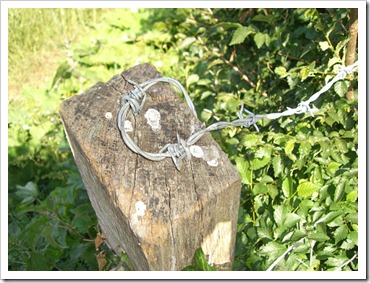 barbed_wire