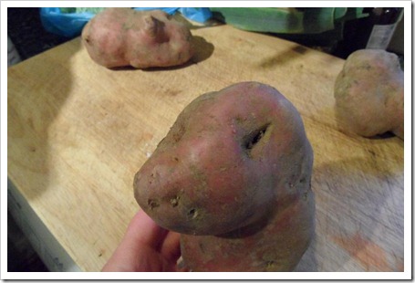 hippo_shaped_potato