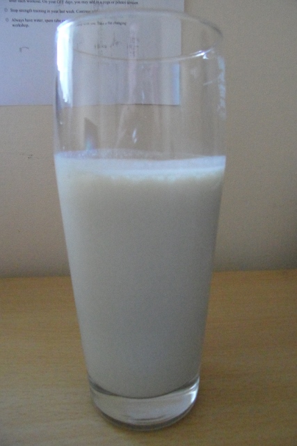 absorice-protein-shake